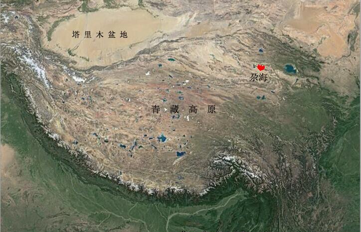 图 1