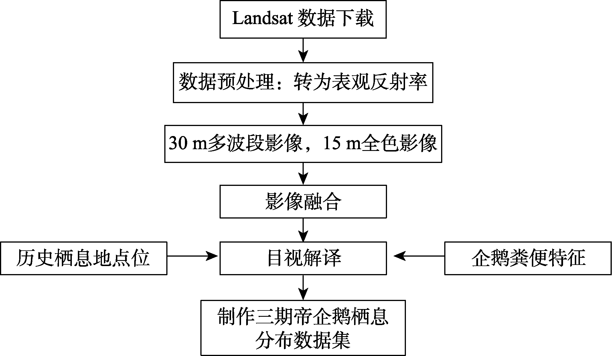 公式