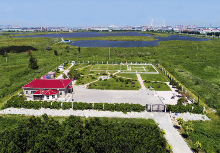 图 10