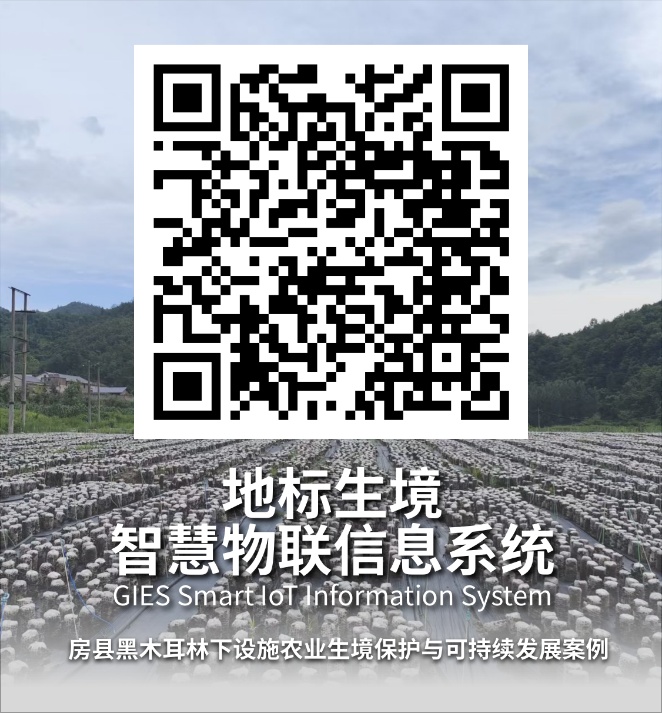 图 7