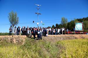 IMG_5082_����