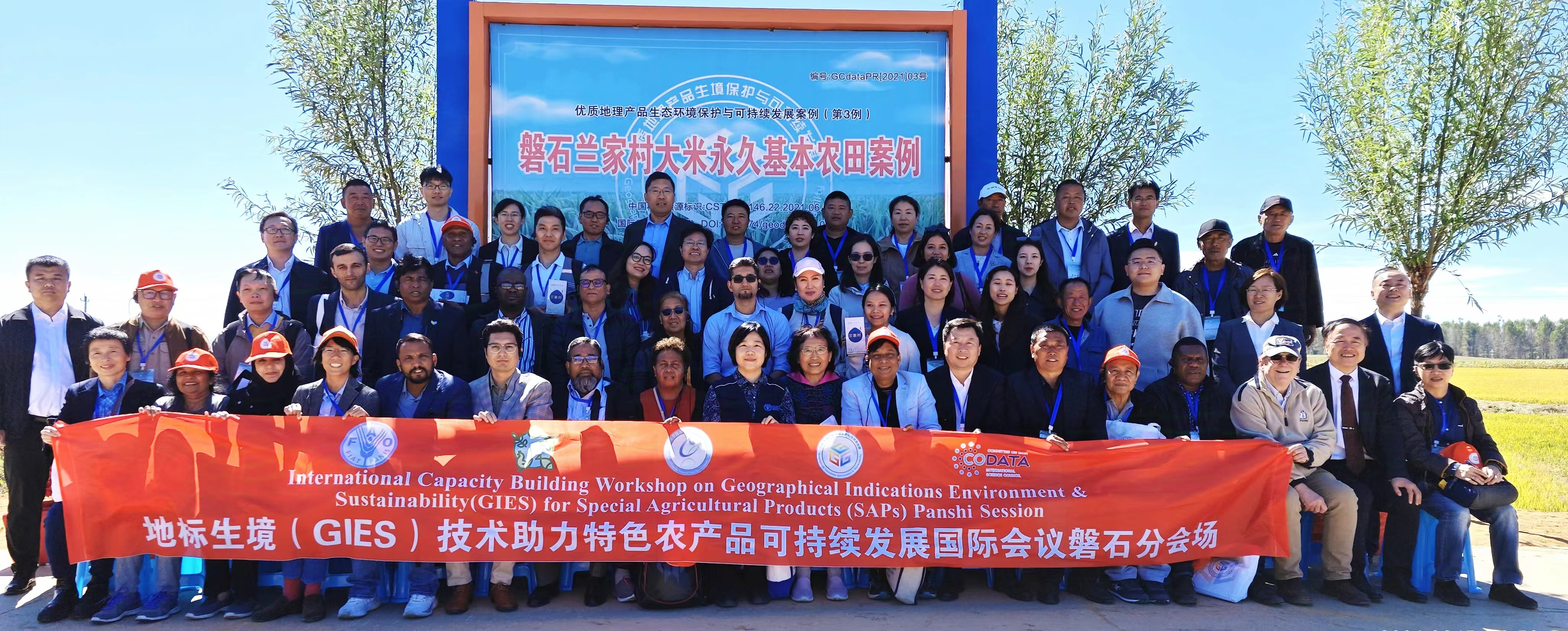 图 11