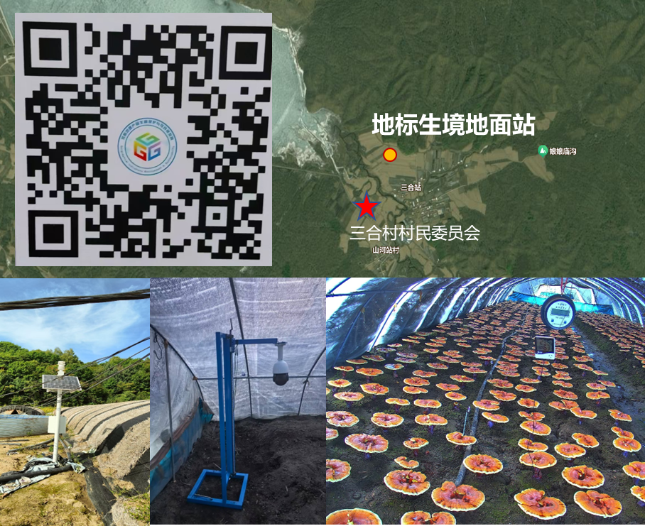 图 11