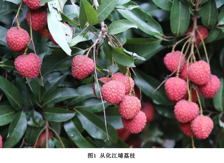 全球变化科学研究数据出版系统