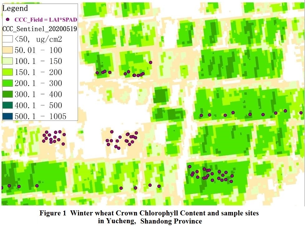 Spatial-temporal distributions of chlorophyll a content (μg/L) in